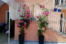Apartmani Nega | Slika 2