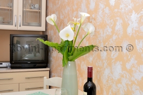 Apartments Milena - Apartment 4 | Image 3