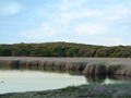 Palud swamp in Rovinj