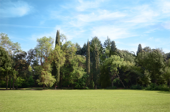 Golden Cape forest park in Rovinj - 1