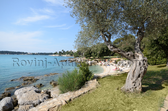 Golden Cape forest park in Rovinj - 3