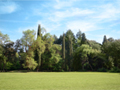 Golden Cape forest park in Rovinj